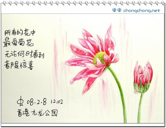 畫出來(lái)的旅行攻略——跟我去香港 畫出來(lái)的旅行攻略——跟我去香港