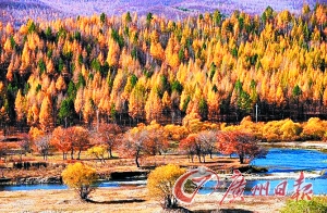 　　呼倫貝爾秋色。