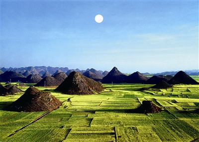 　　云南羅平的油菜花,堪稱浩瀚無(wú)邊