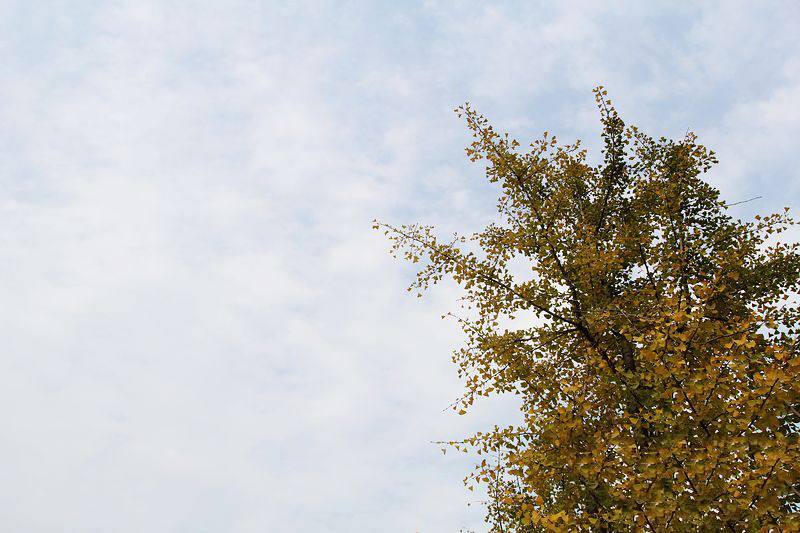 初冬旅游正此時 騎行走進黃河風景名勝區(qū) 初冬旅游正此時 騎行走進黃河風景名勝區(qū)