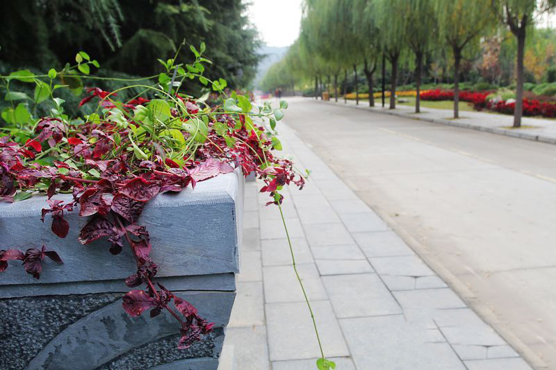 初冬旅游正此時 騎行走進黃河風景名勝區(qū) 初冬旅游正此時 騎行走進黃河風景名勝區(qū)