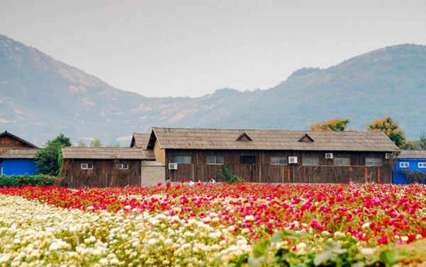 別樣蜜月，河南最適宜新婚度假的景區(qū)