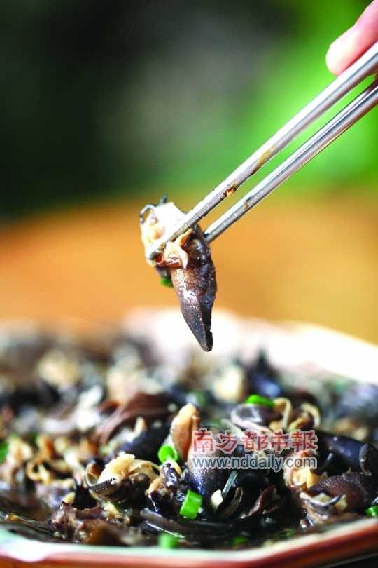 蒜蓉粉絲蒸蝸牛。