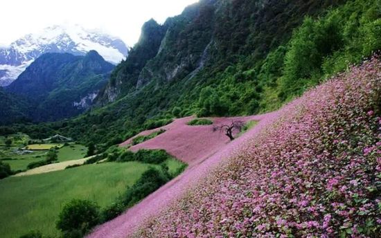 云南的另一個(gè)天堂 我約你一起去！