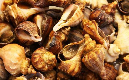 秋季最適合吃的海鮮是這10種 你吃對(duì)了嗎？