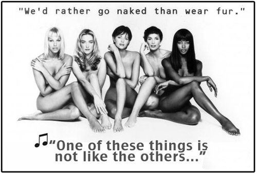 時(shí)尚圈第一組群?？棺h皮草大片