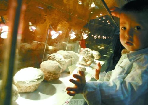 恐龍蛋，這回見識了吧！