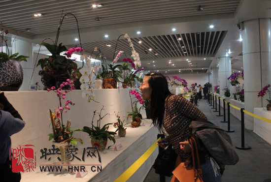 “溫馨九九重陽節(jié) 陪著父母去游園”活動(dòng)圓滿舉行 “溫馨九九重陽節(jié) 陪著父母去游園”活動(dòng)圓滿舉行