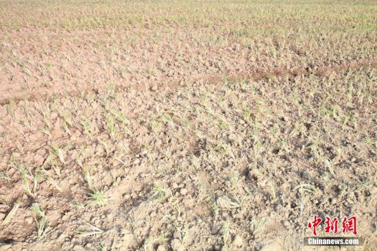 2014年7月31日早晨，浙江紹興市區(qū)蔬菜批發(fā)市場(chǎng)旁邊的土地已經(jīng)發(fā)生開(kāi)裂。