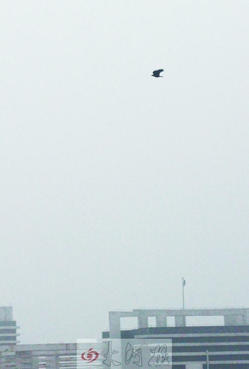 全省35個(gè)縣市發(fā)布惡劣天氣預(yù)警信號(hào)，其中15個(gè)發(fā)布大霧紅色預(yù)警