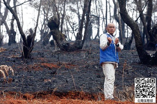 山林被燒得滿目瘡痍。