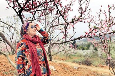 公式“時(shí)尚奶奶”的賞花照，收獲了好多人的點(diǎn)贊。 受訪者供圖