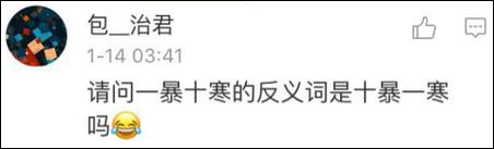 鶴立雞群？雞立鶴群！