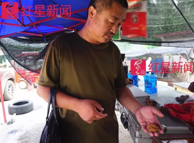 文玩核桃遇冷由幾萬一對(duì)降到5元沒人要？商戶否認(rèn)