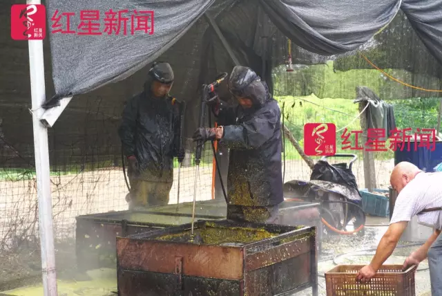 文玩核桃遇冷由幾萬一對(duì)降到5元沒人要？商戶否認(rèn)