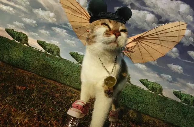 一只虛擬寵物貓叫價(jià)13億元？云養(yǎng)貓成真