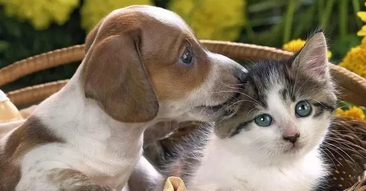 可憐！12歲女孩右眼完全失明 只因平時(shí)有這愛(ài)好