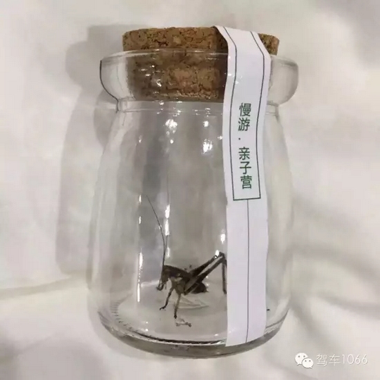 看看我的成果吧！