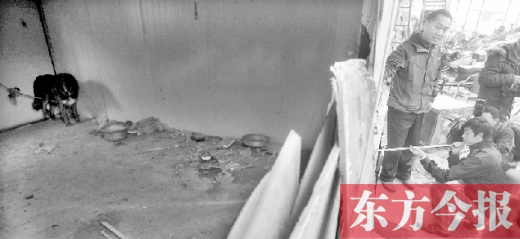 12月4日，鄭州市未來(lái)路與隴海路交叉口西側(cè)，執(zhí)法人員用吹管麻醉針對(duì)付一只藏獒