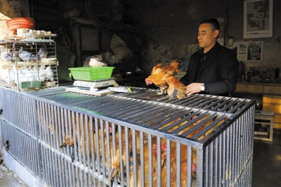 南京另一家農(nóng)貿(mào)市場內(nèi)待售的活雞。因南京出現(xiàn)H7N9禽流病例，買活雞的顧客減少。