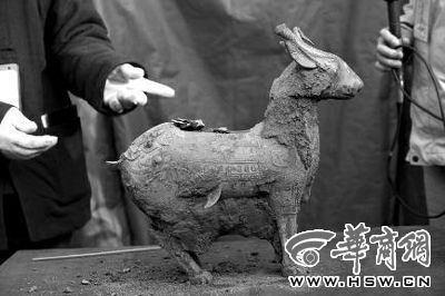 一件似羊似鹿的犧尊華麗亮相，可愛(ài)的造型“萌翻”現(xiàn)場(chǎng)。