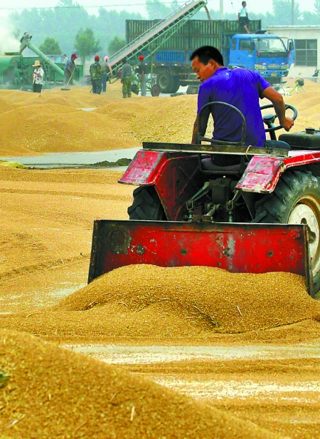 精心晾曬，散倉(cāng)入庫(kù)。