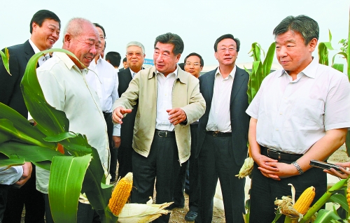 圖為回良玉在鄧州市腰店鄉(xiāng)草寺村視察萬(wàn)畝玉米高產(chǎn)示范方。