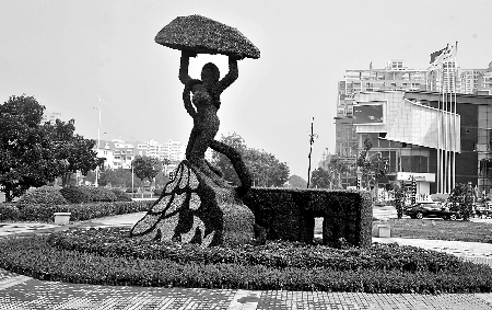8月28日，南陽街頭繁花似錦，市民宛若行走在花海之中。