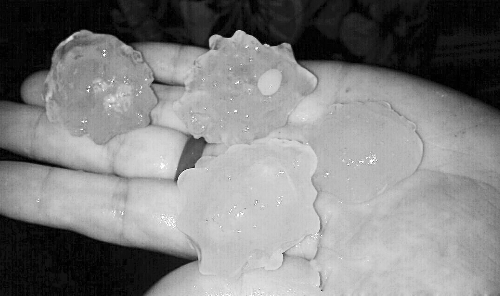 昨天凌晨，三門峽下起了冰雹，最大直徑近1厘米 微博截圖