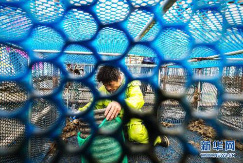 2014年陽澄湖大閘蟹開捕 2014年陽澄湖大閘蟹開捕