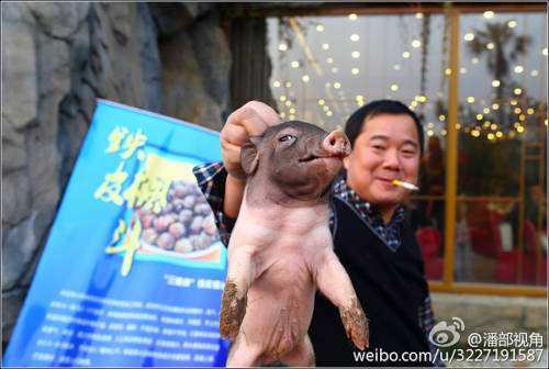 江蘇一公司奇葩年會：當(dāng)場領(lǐng)牲畜