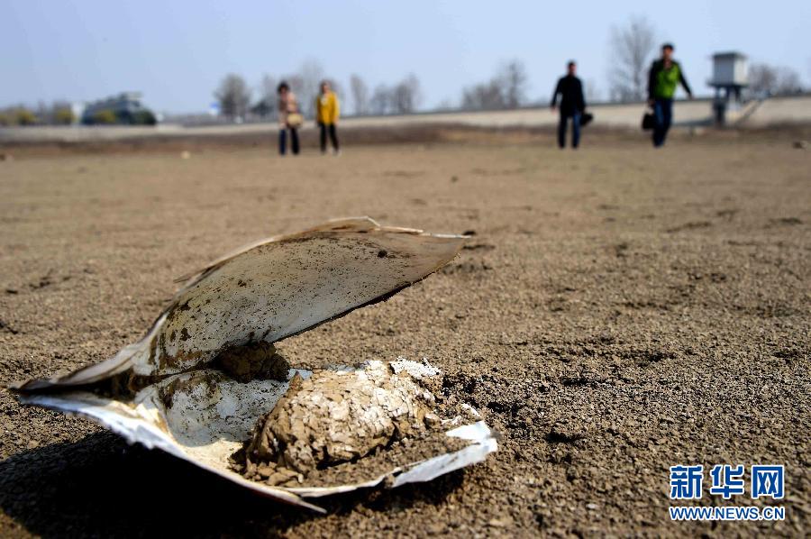 山東旱情 274座水庫干涸157條河道斷流 山東旱情 274座水庫干涸157條河道斷流