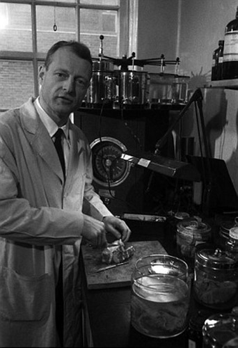 愛(ài)因斯坦大腦切片