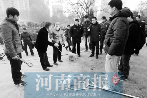 一只辦過(guò)狗證的小白狗，因?yàn)闆](méi)有拴犬鏈，被執(zhí)法人員暫扣