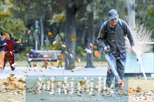 秋風(fēng)吹過，落葉滿地