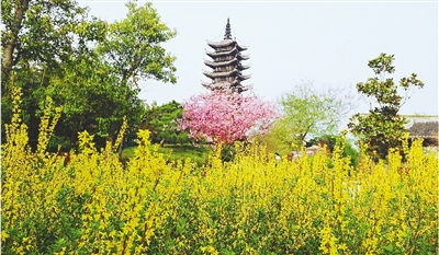 綠博園盛開的鮮花“期待”和市民“約會(huì)”。