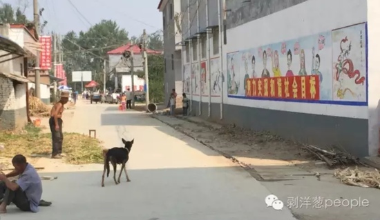 孫莊村一角。新京報(bào)記者安鐘汝 攝