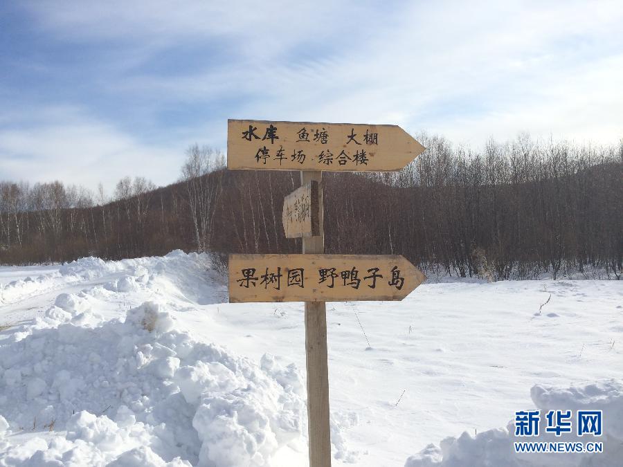 穗豐園里的標識牌（2013年12月8日攝）。新華社記者王子辰攝