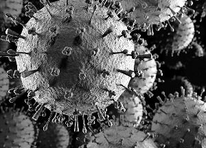 日本教授研制出致命病毒 人類將毫無(wú)防御能力