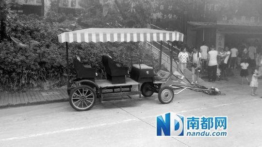 園方則稱解剖后發(fā)現(xiàn)馬死于心臟衰竭，“與累無關(guān)”。