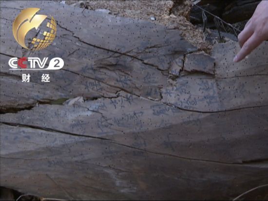 布滿蟲眼的木質大梁 上面寫著捐資人姓名