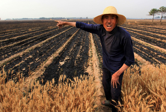 河南省滑縣、內(nèi)黃縣麥田著火，麥壟套種的花生、玉米苗也被烤焦，群眾損失慘重