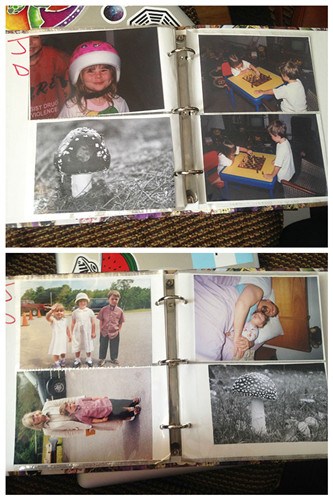 圖五：這位老爹最神的是，把一棵蘑菇的照片放進(jìn)了家庭相冊里，真正地作為家人來對待。