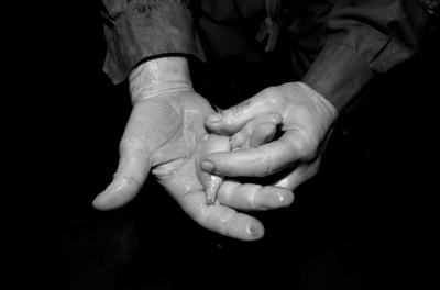 圖為科考人員發(fā)現(xiàn)的洞穴動物（3月2日攝）。