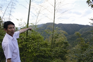 村民吳學田告訴記者，對面兩座山就是潘建友承包的部分山場 見習記者 邱一文 攝