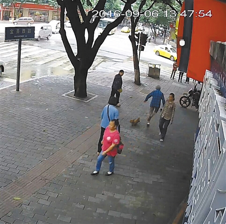 寵物狗絆倒八旬老太 沒(méi)有“逃離”現(xiàn)場(chǎng)坐等民警來(lái) 寵物狗絆倒八旬老太 沒(méi)有“逃離”現(xiàn)場(chǎng)坐等民警來(lái)