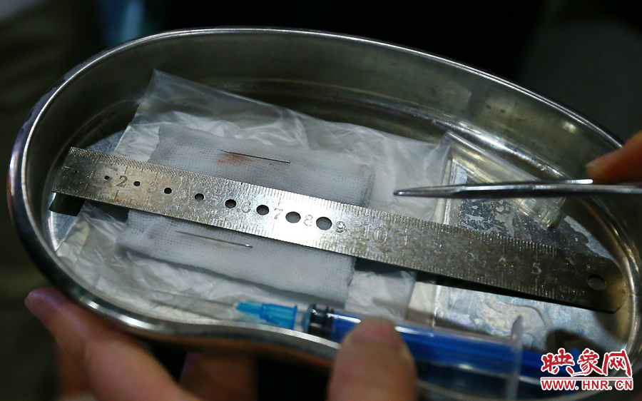 大龍顱內(nèi)取出的鋼針（上）和小龍顱內(nèi)的一樣（下），均為2.5厘米