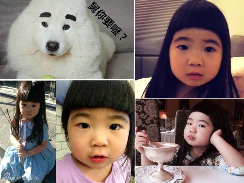 不小心就撞臉了！盤點動物界的明星相