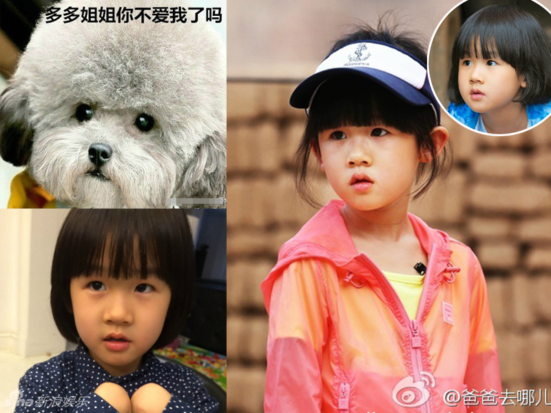 不小心就撞臉了！盤點動物界的明星相