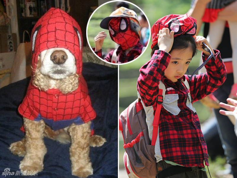 不小心就撞臉了！盤點動物界的明星相